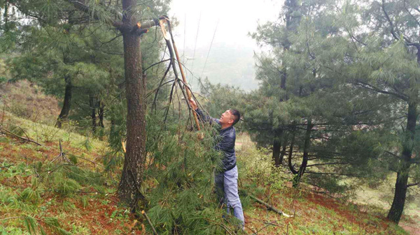 貴州開元員工巡查高壓線路紀(jì)實(shí)