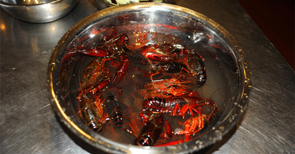 1495177124600754.jpg DSC_5691_副本.jpg