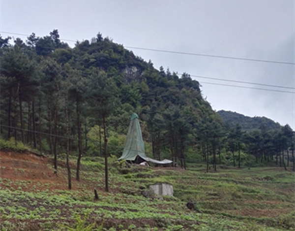 把脈“黔”鋅地，問診開良方