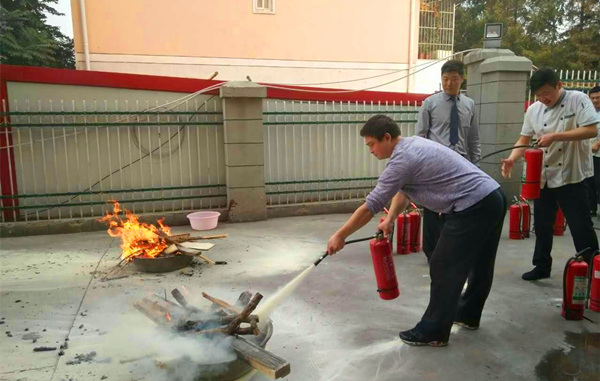 1491015243102936.jpg 484894287361773448_副本.jpg